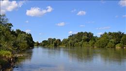 Krajinski park Drava