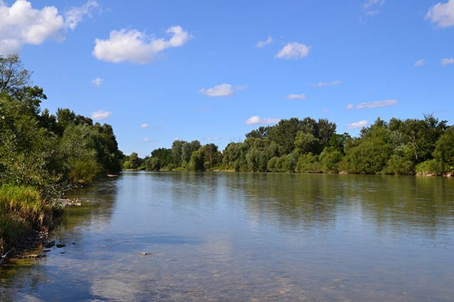 Krajinski park Drava