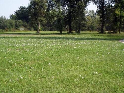 Krajinski park Šturmovec