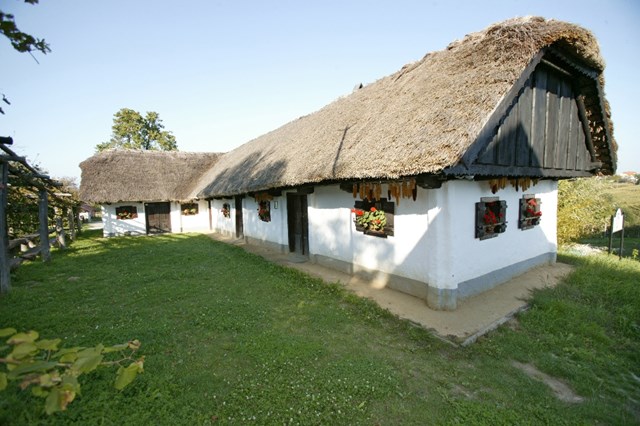 Sakošak 83