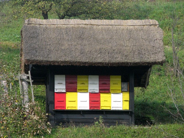 Cogetinci