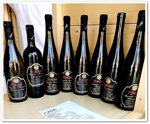 VINOGRADNIŠTVO VINARSTVO TURČAN