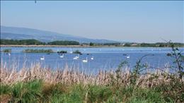 SESTRŠKO JEZERO