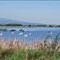 SESTRŠKO JEZERO