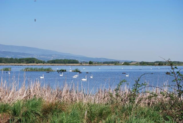 SESTRŠKO JEZERO